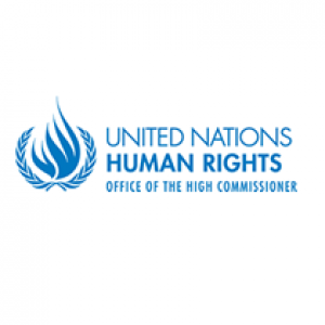 UNHCHR request for submissions on MMM
