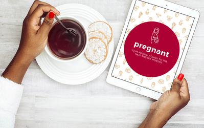 Praise for Pregnant - Your Friendly Guide to the Next Twelve Months