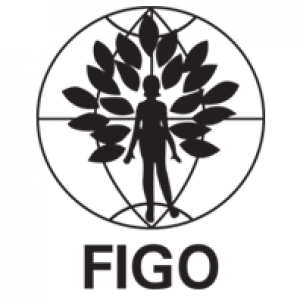 Smjernice FIGO-a za Inicijativu Rodilišta - prijatelji majki i djece