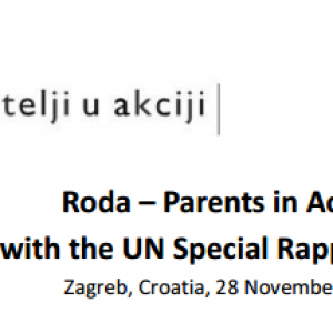 Special Rapporteur final report