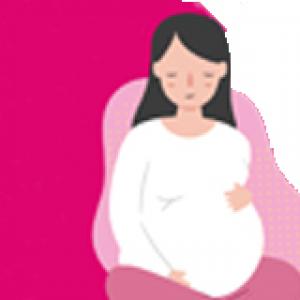 Pregnancy - English (PDF)