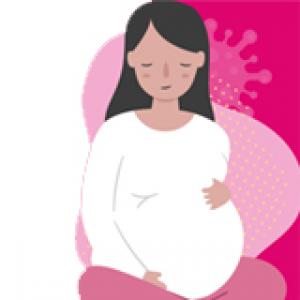 Pregnancy - Romani (PDF)