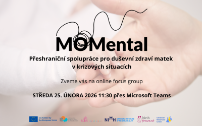 Mapping mental health support for mothers in crisis in the Czech Republic