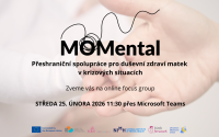 Mapping mental health support for mothers in crisis in the Czech Republic