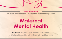 Stakeholders in Cyprus discuss maternal mental health in crisis settings
