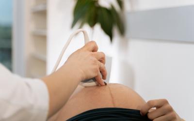 Kvalitativno istraživanje smjernica za skrb o rodiljama tijekom fiziološkog porođaja.