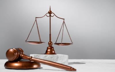 Organizacije civilnog društva kao prijatelji suda: publikacija o institutu amicus curiae